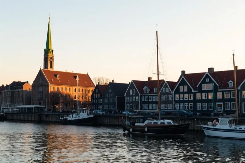 Alpaka Wanderungen in Rostock