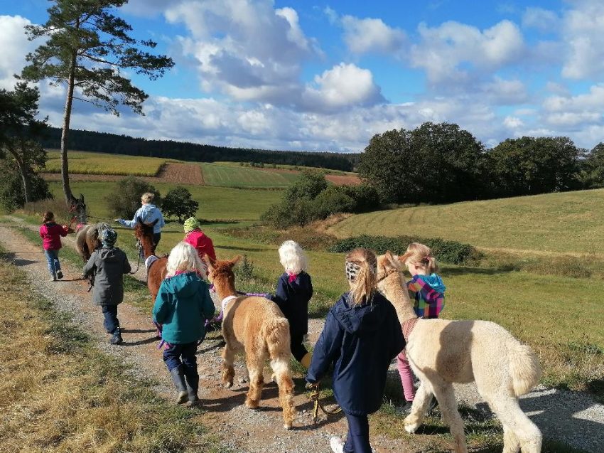 Alpaka Wanderung nahe Kassel - Natur erleben