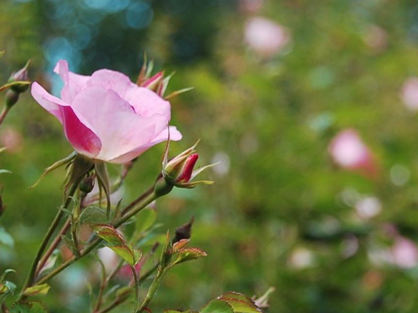 Nach einer kleinen Vorstellungsrunde