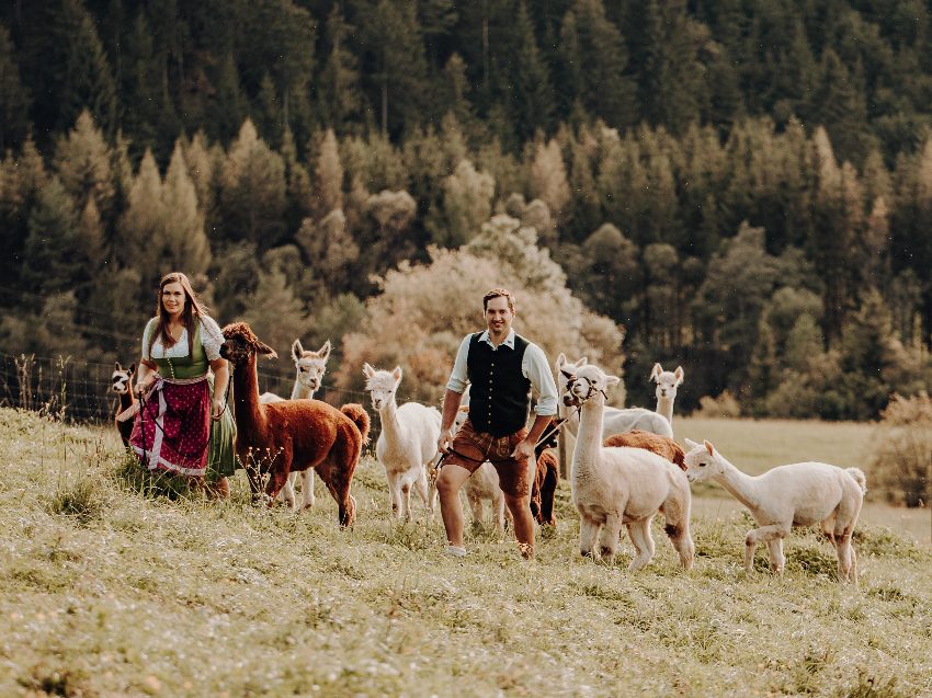 Alpaka Wanderung nahe Graz - Natur erleben