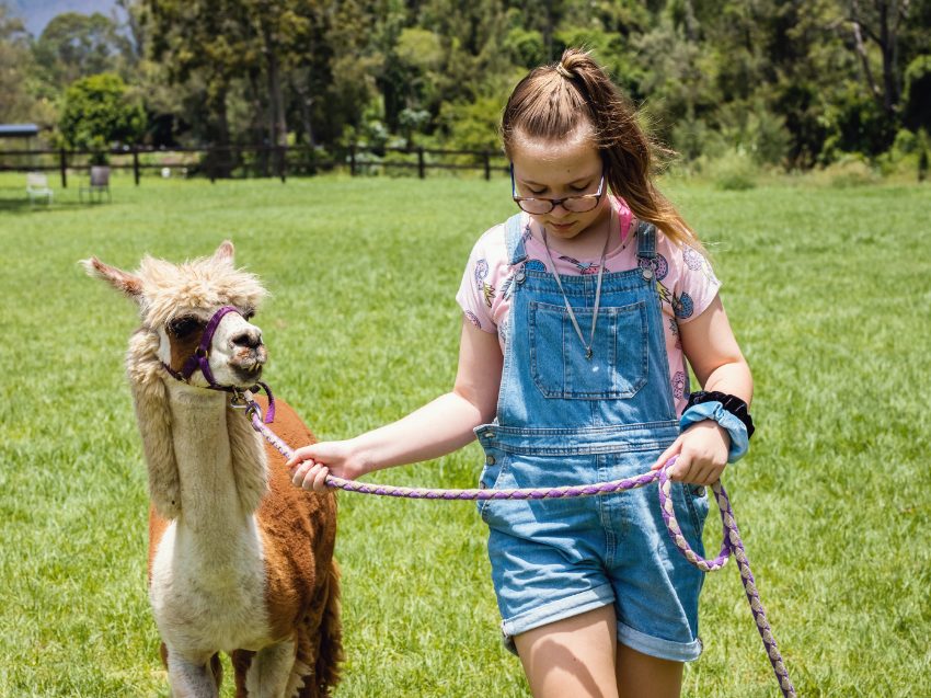 Alpaka Wanderung Stuttgart - Natur erleben
