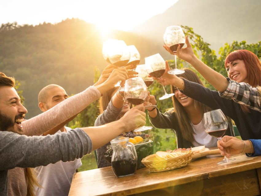 Weinprobe in Düsseldorf - Südafrikanische Weine zu Hause