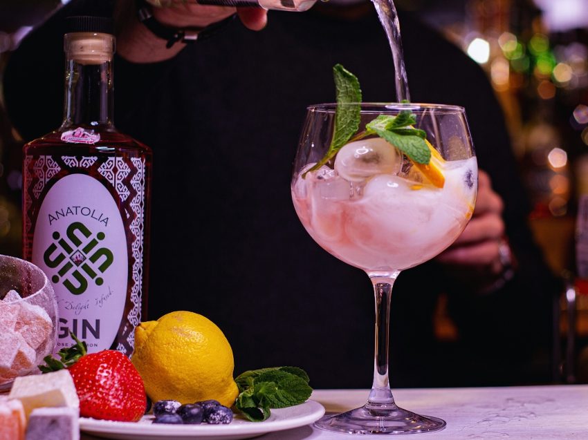 Gin Tasting Stuttgart - Aromatische Gins verkosten