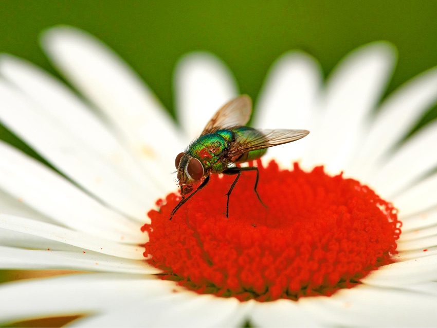 Fotokurs Basics 2 in Hamburg - Blende und Tiefenschärfe