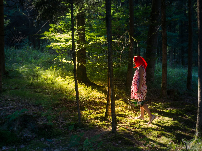 Geschichte und Bildaufbau