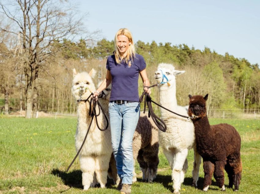 Alpaka Wanderung nahe Nürnberg - Natur erleben