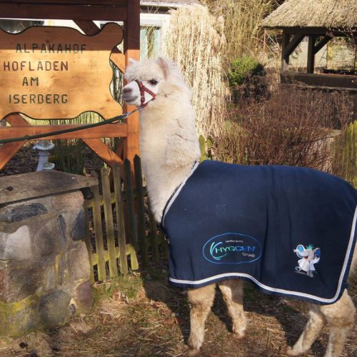Alpakahof am Iserberg - auf Triviar