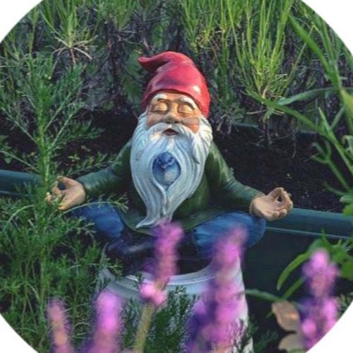 Meditation + Coaching Luebeck - auf Triviar